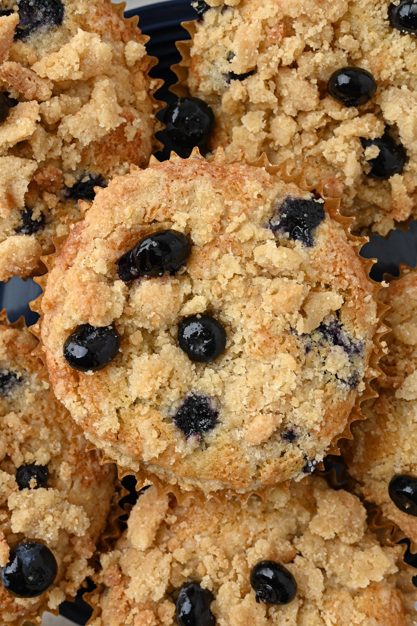 Blueberry and Lemon Muffins Exclusive