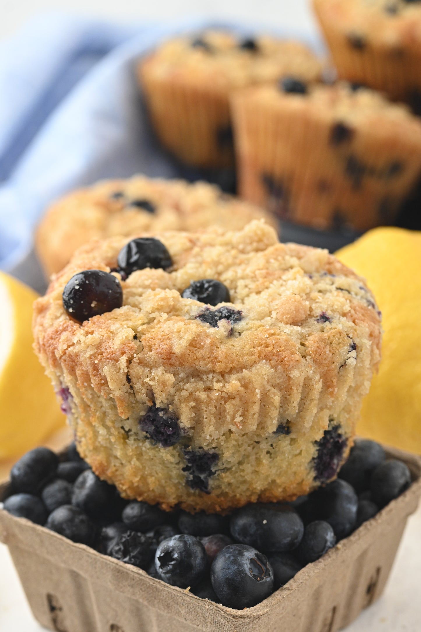 Blueberry and Lemon Muffins Exclusive