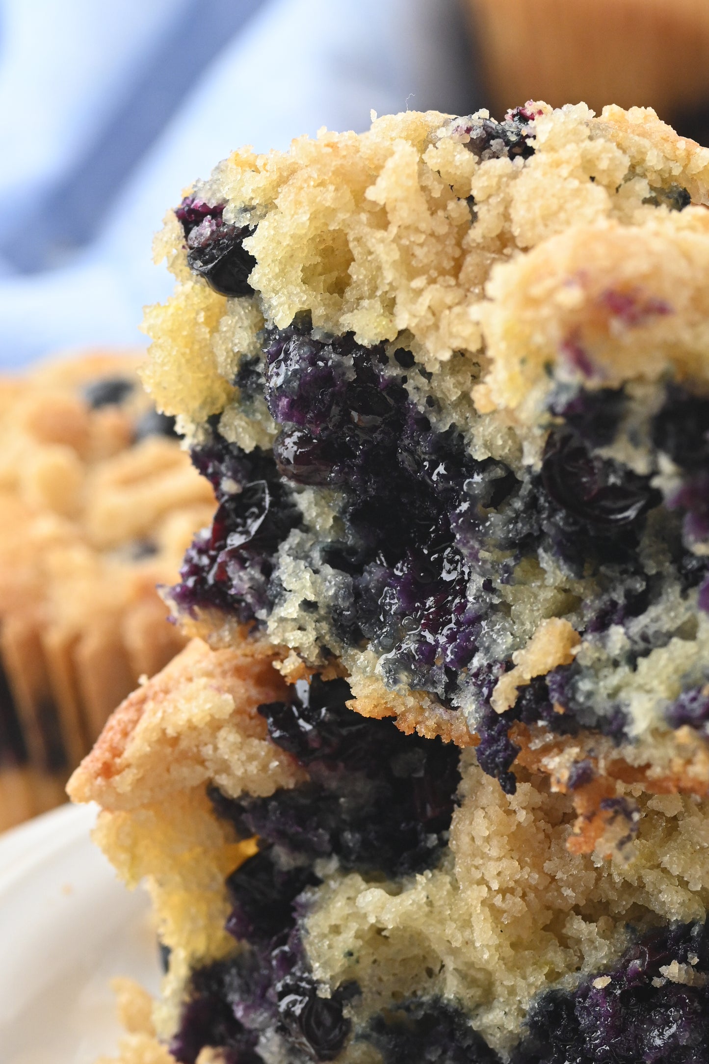 Blueberry and Lemon Muffins Exclusive