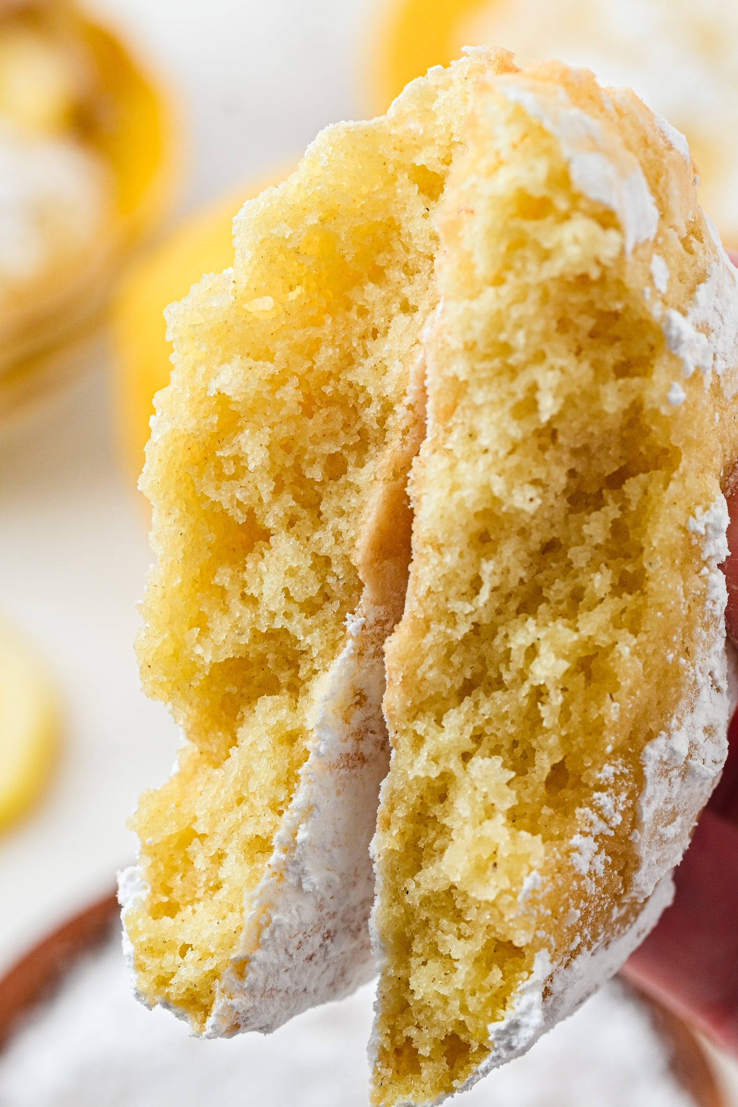 Lemon Crinkle Cookies Exclusive