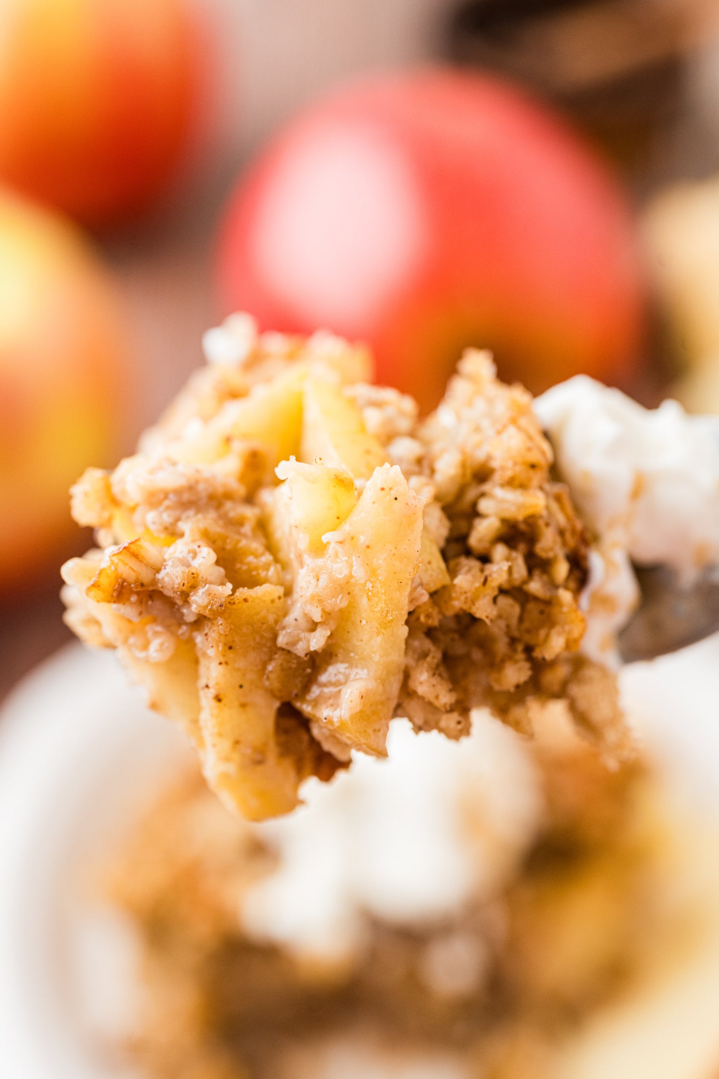 Apple and Oatmeal Bake Exclusive