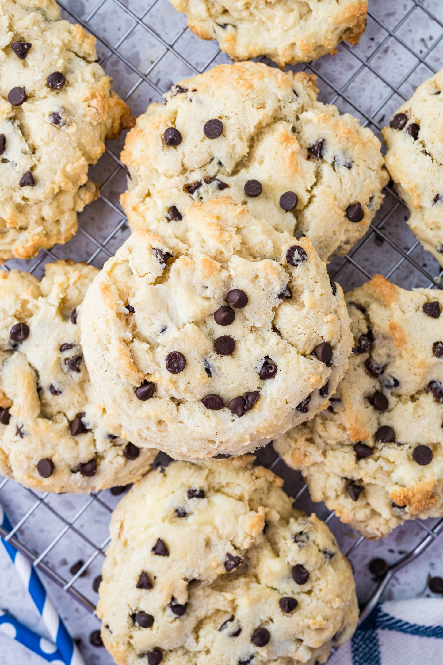 Chocolate Chip Cheesecake Cookies Exclusive