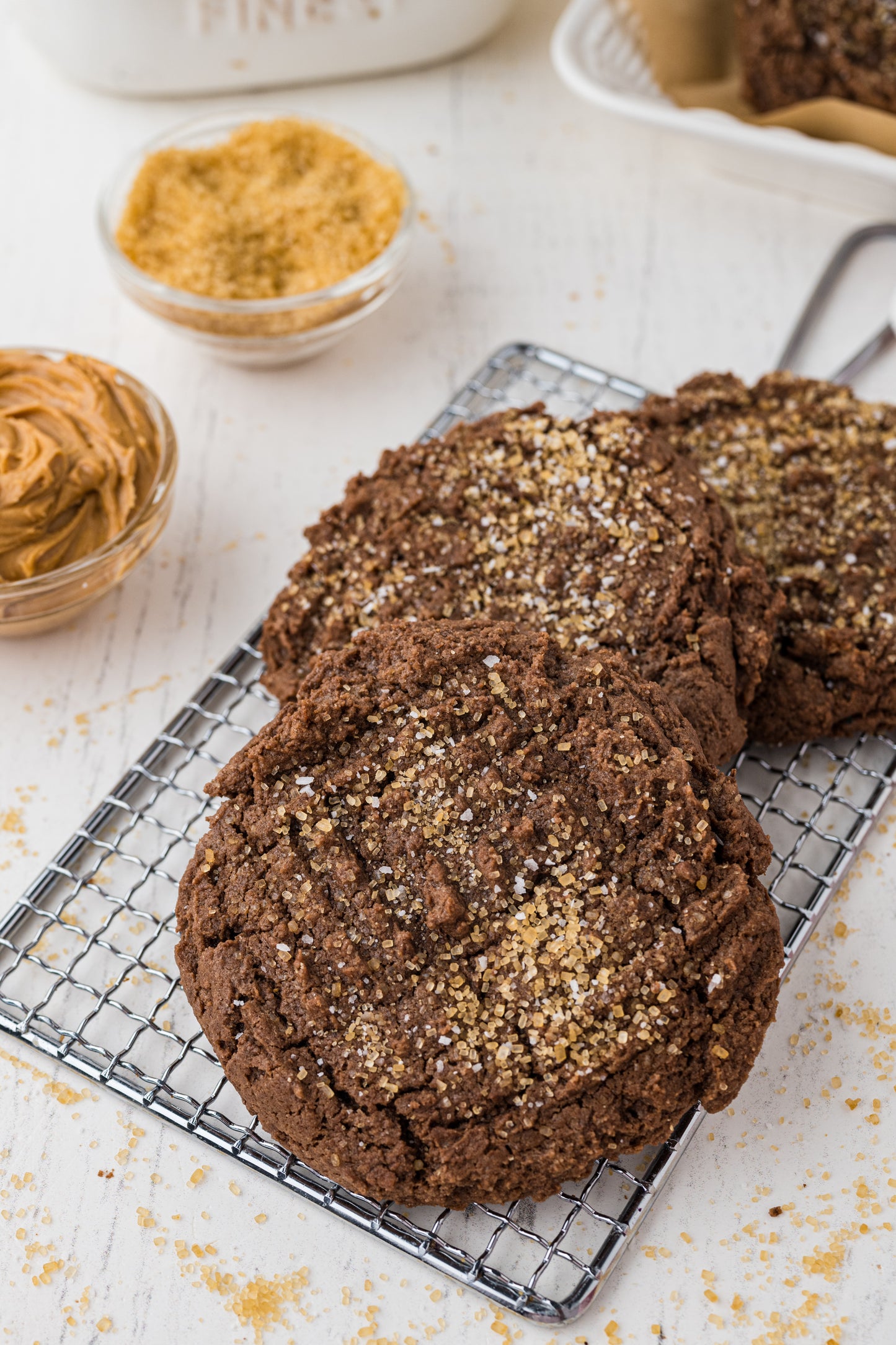 Chocolate Peanut Butter Cookies