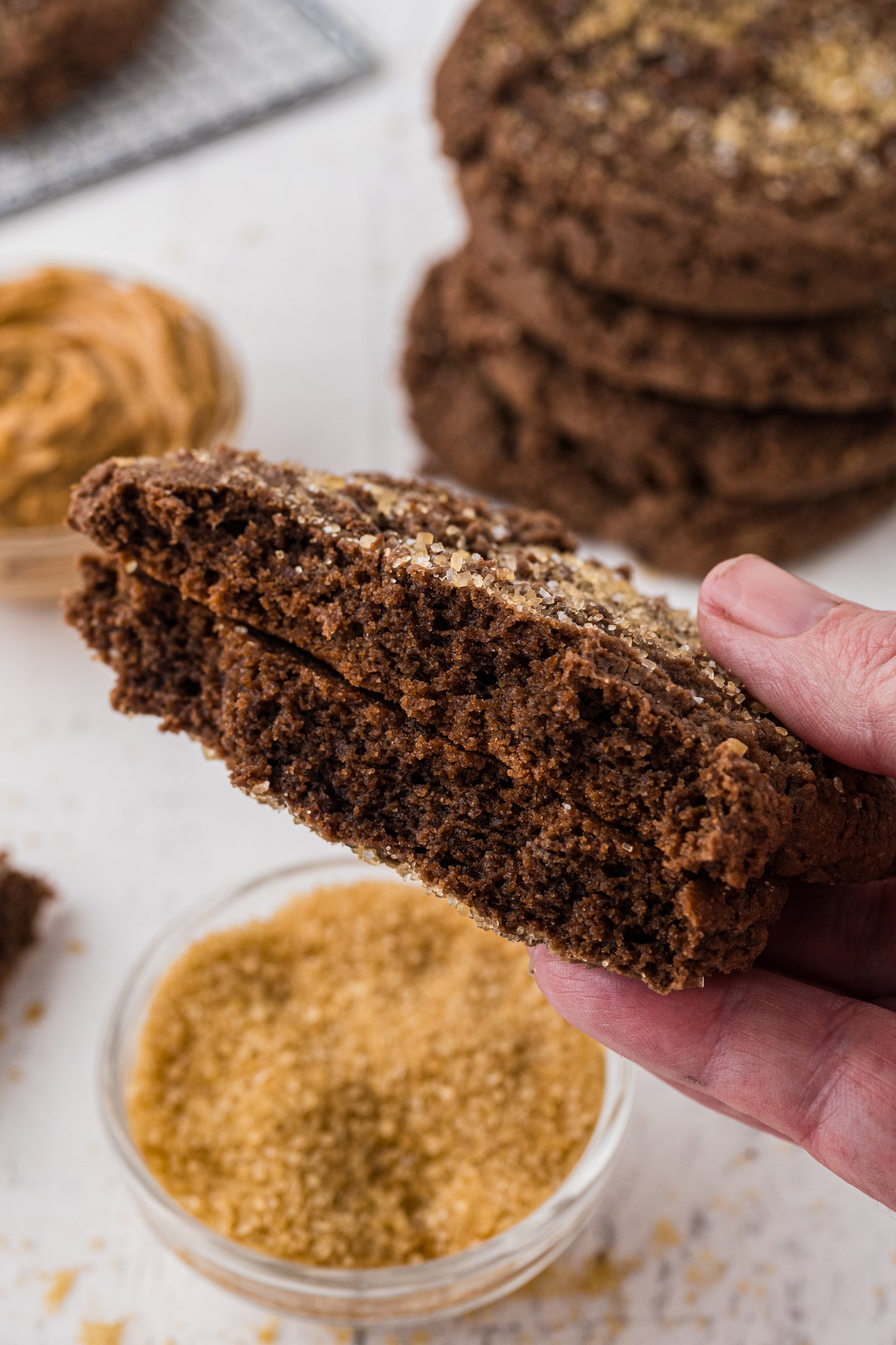 Chocolate Peanut Butter Cookies