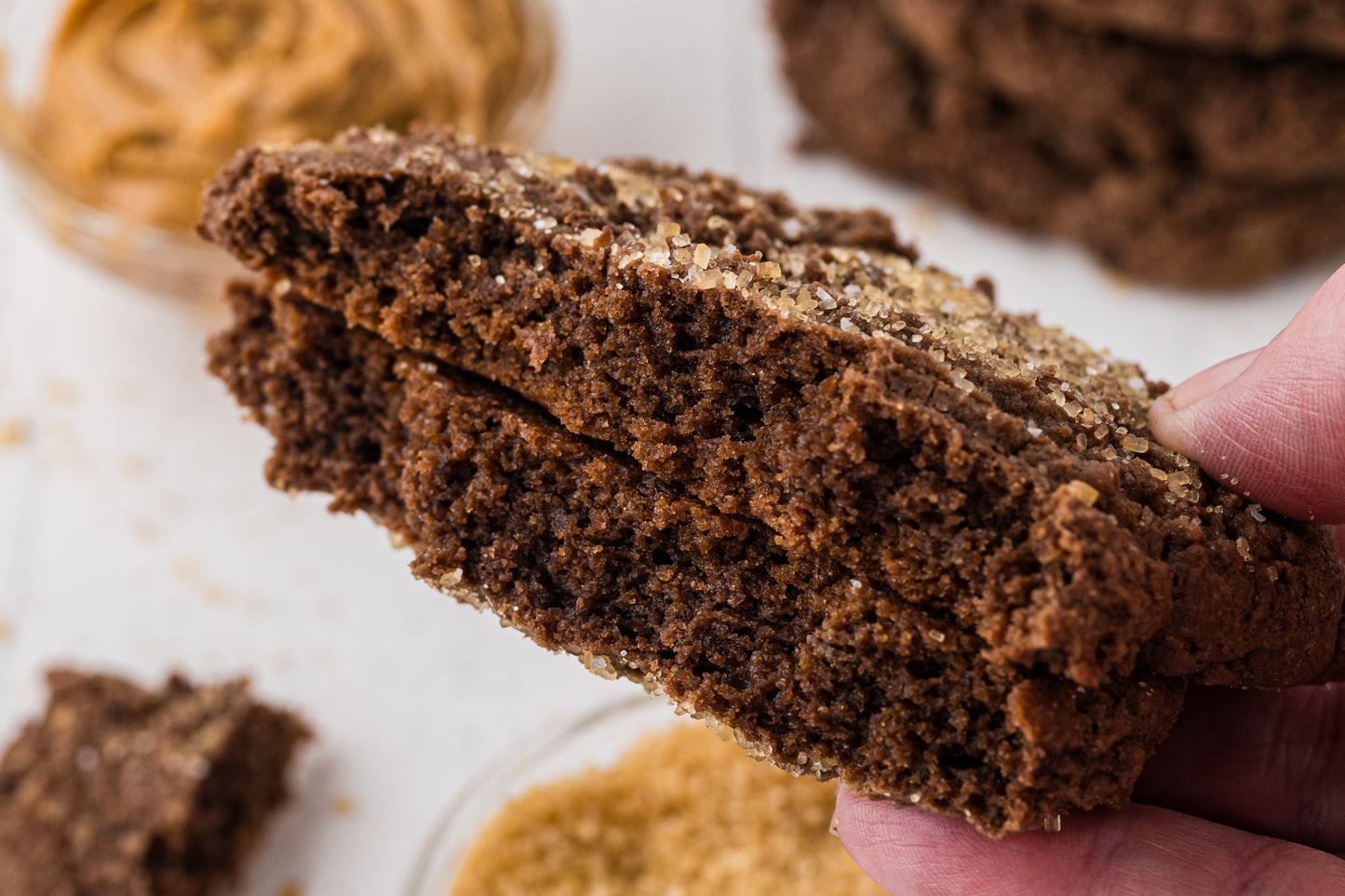 Chocolate Peanut Butter Cookies