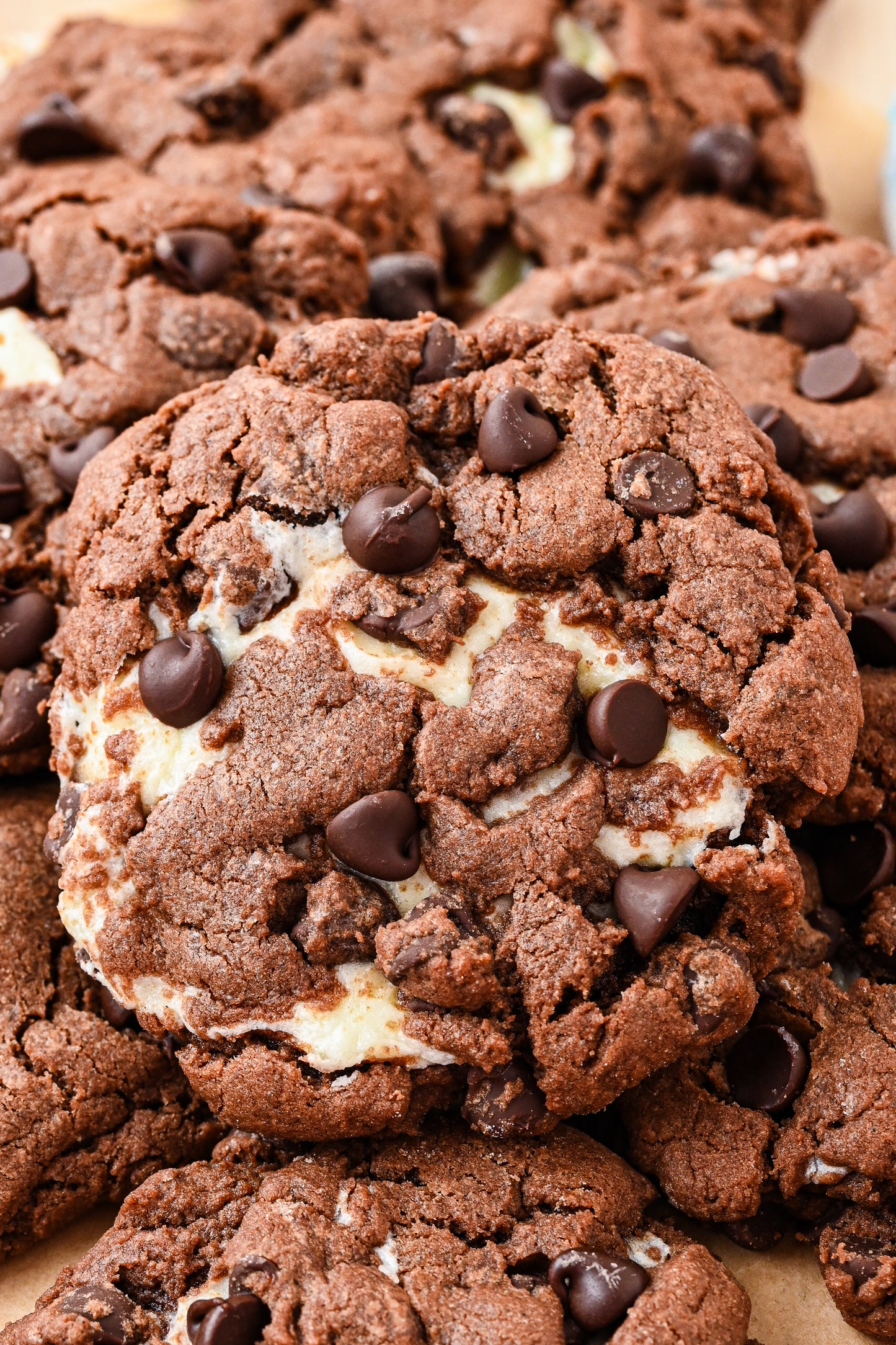 Cream Cheese and Chocolate Cookies Exclusive