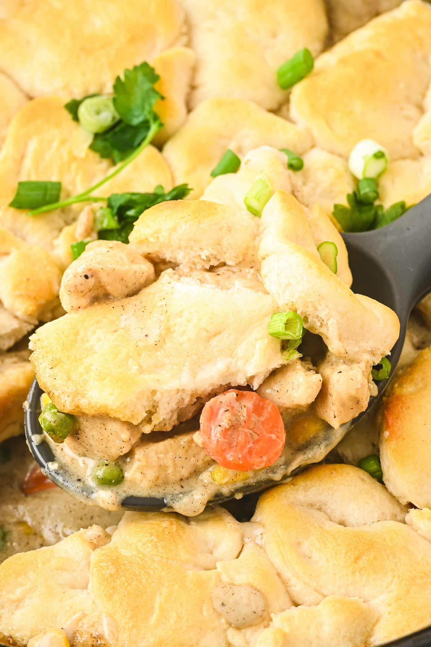 Easy Chicken Pot Pie Exclusive