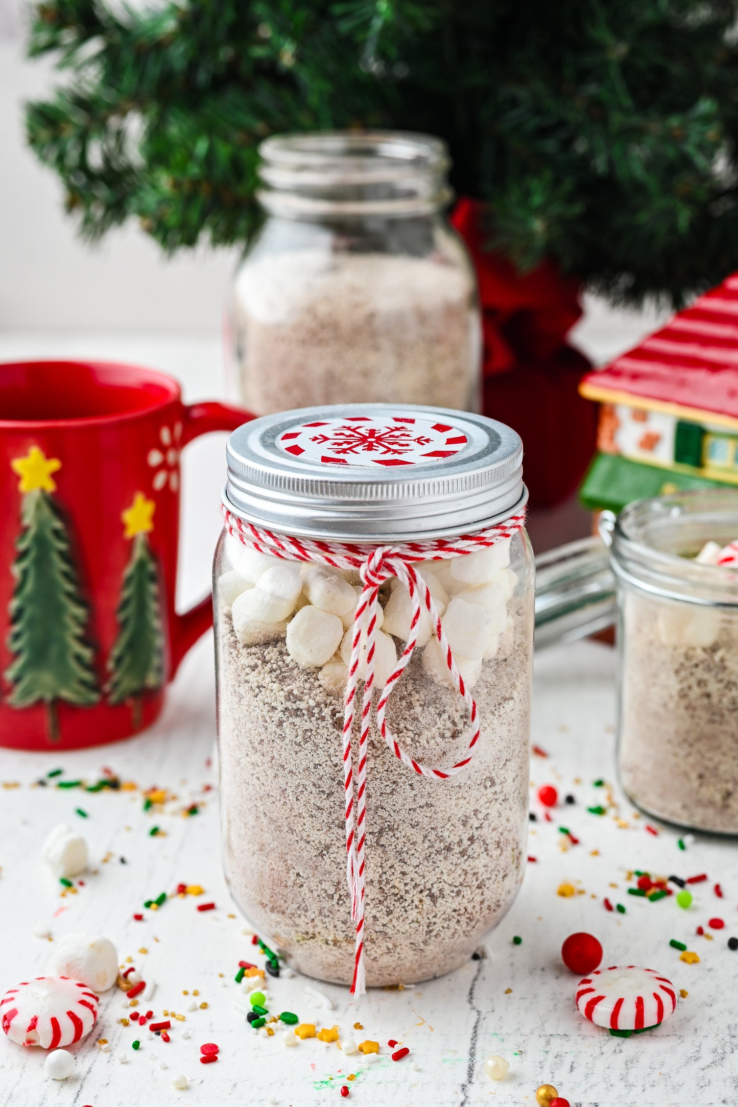 3 in 1 Package Homemade Cocoa Mix Exclusive