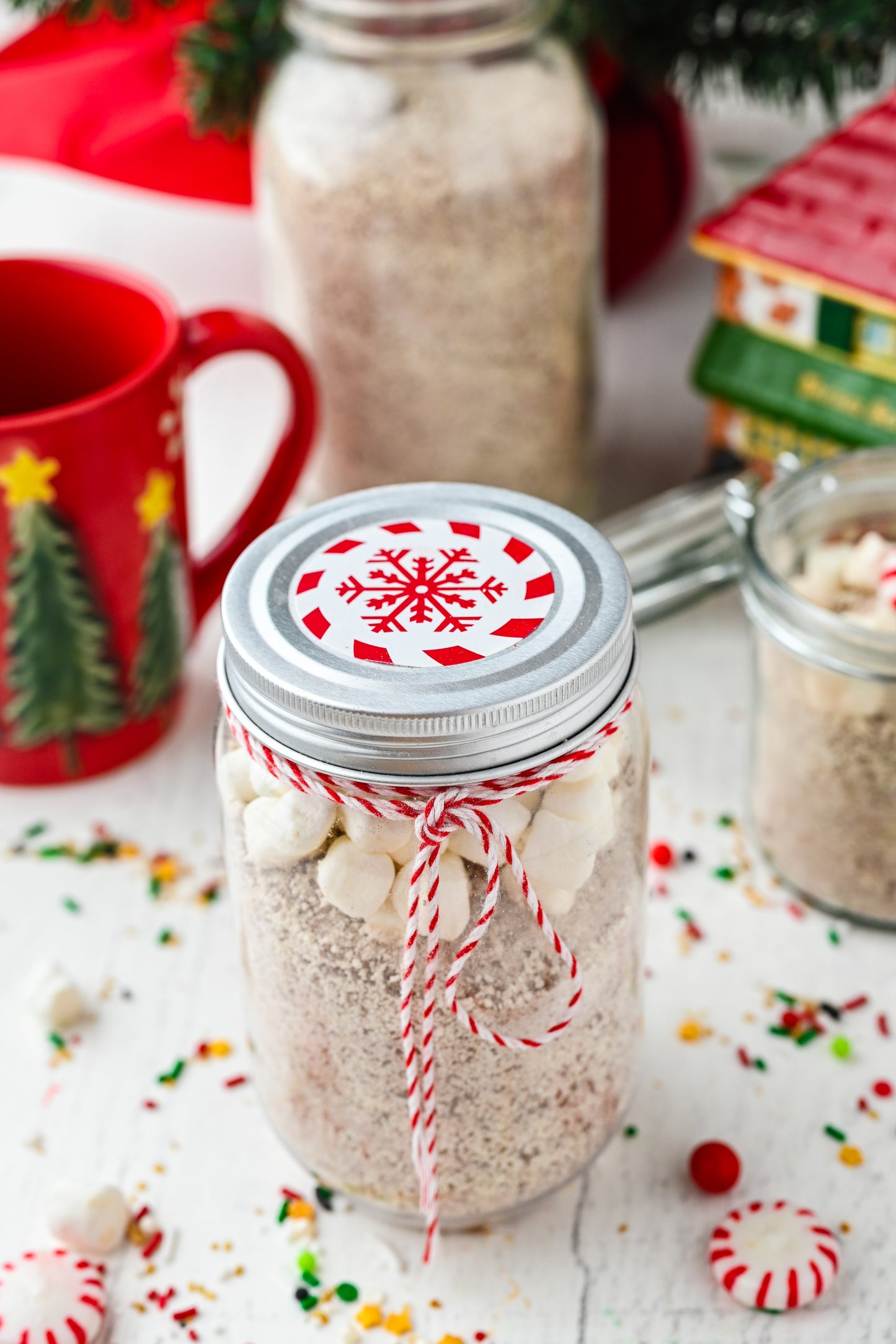 3 in 1 Package Homemade Cocoa Mix Exclusive