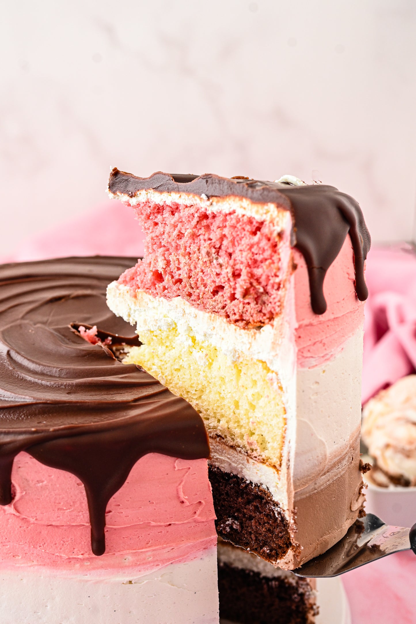 Neapolitan Cake Exclusive