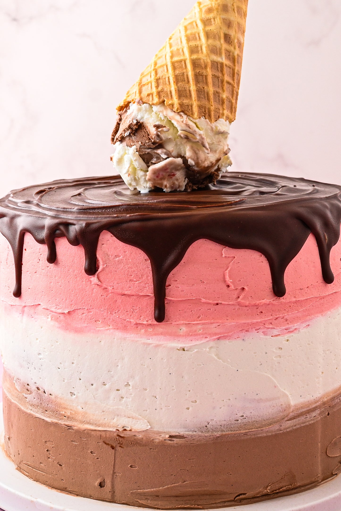 Neapolitan Cake Exclusive