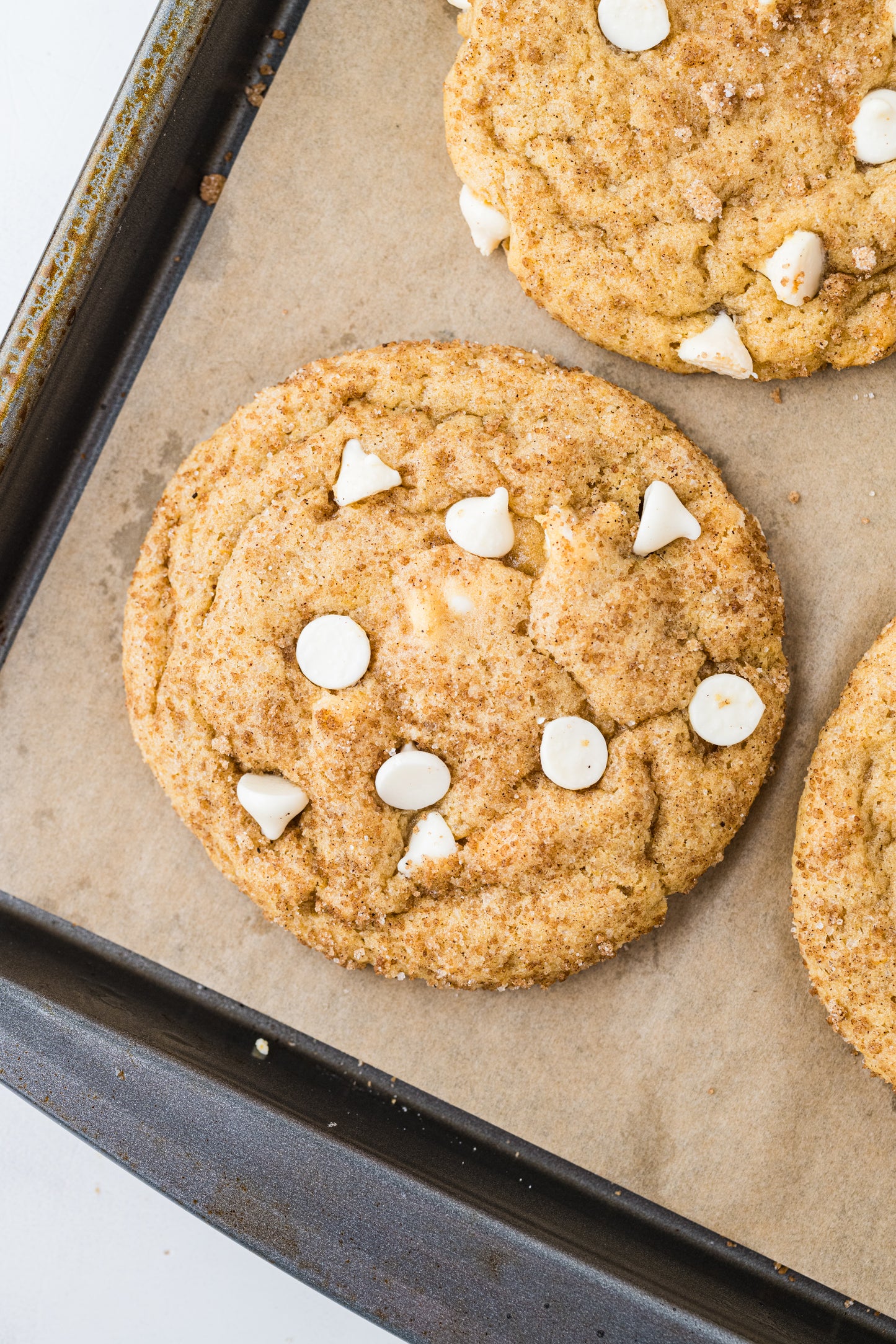 Pumpkin Spice Cookies Exclusive