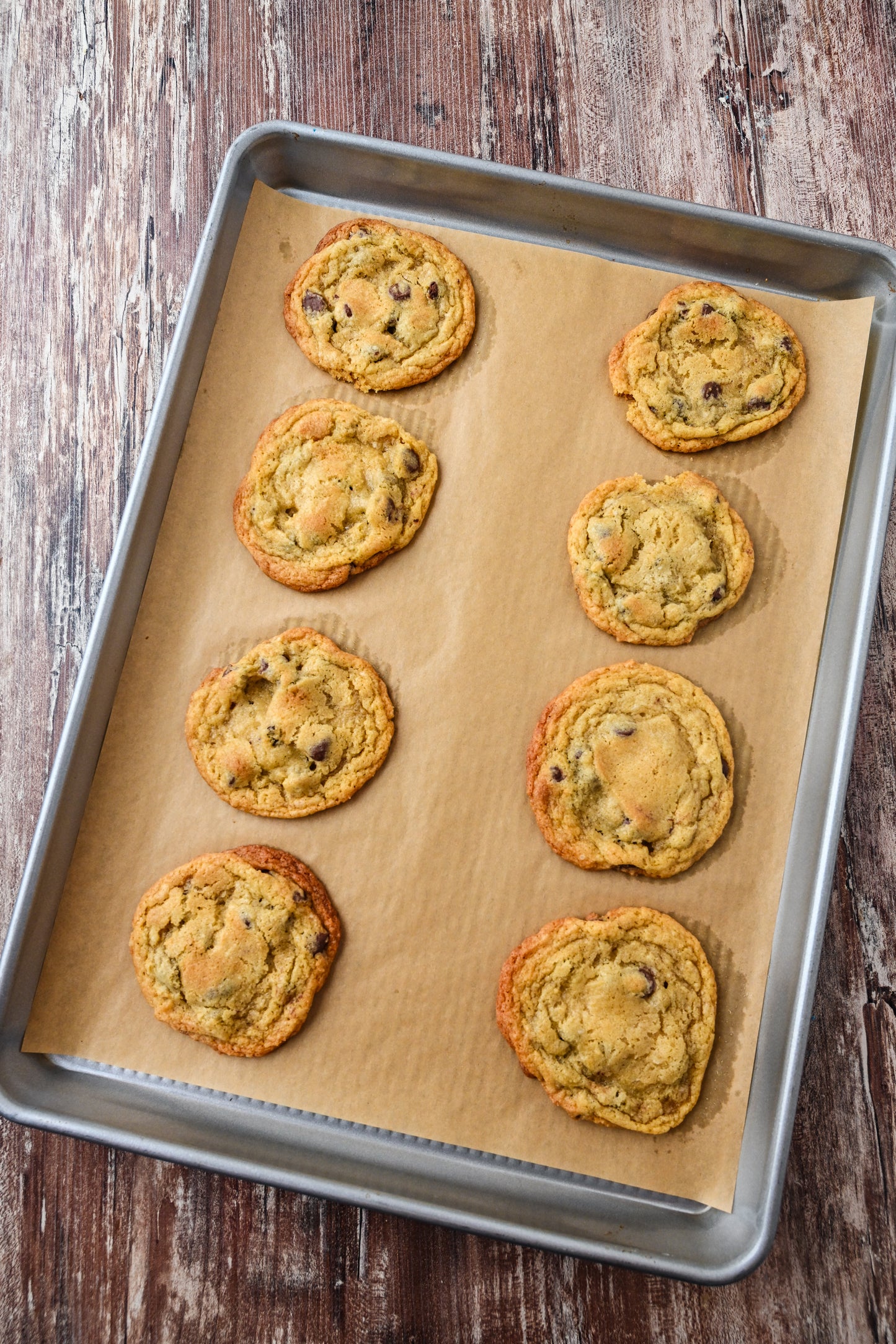 Soft and Chewy Chocolate Chip Cookies Exclusive